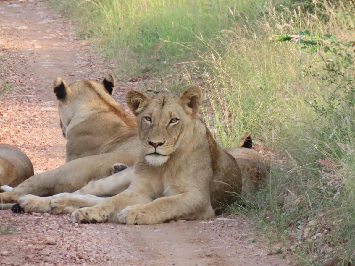 Muweti Bush Lodge Grietjie Game Reserve Экстерьер фото