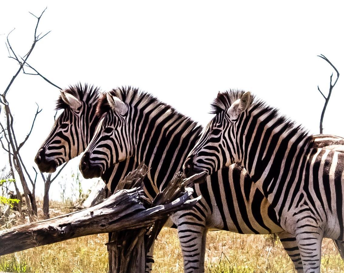 Muweti Bush Lodge Grietjie Game Reserve Экстерьер фото