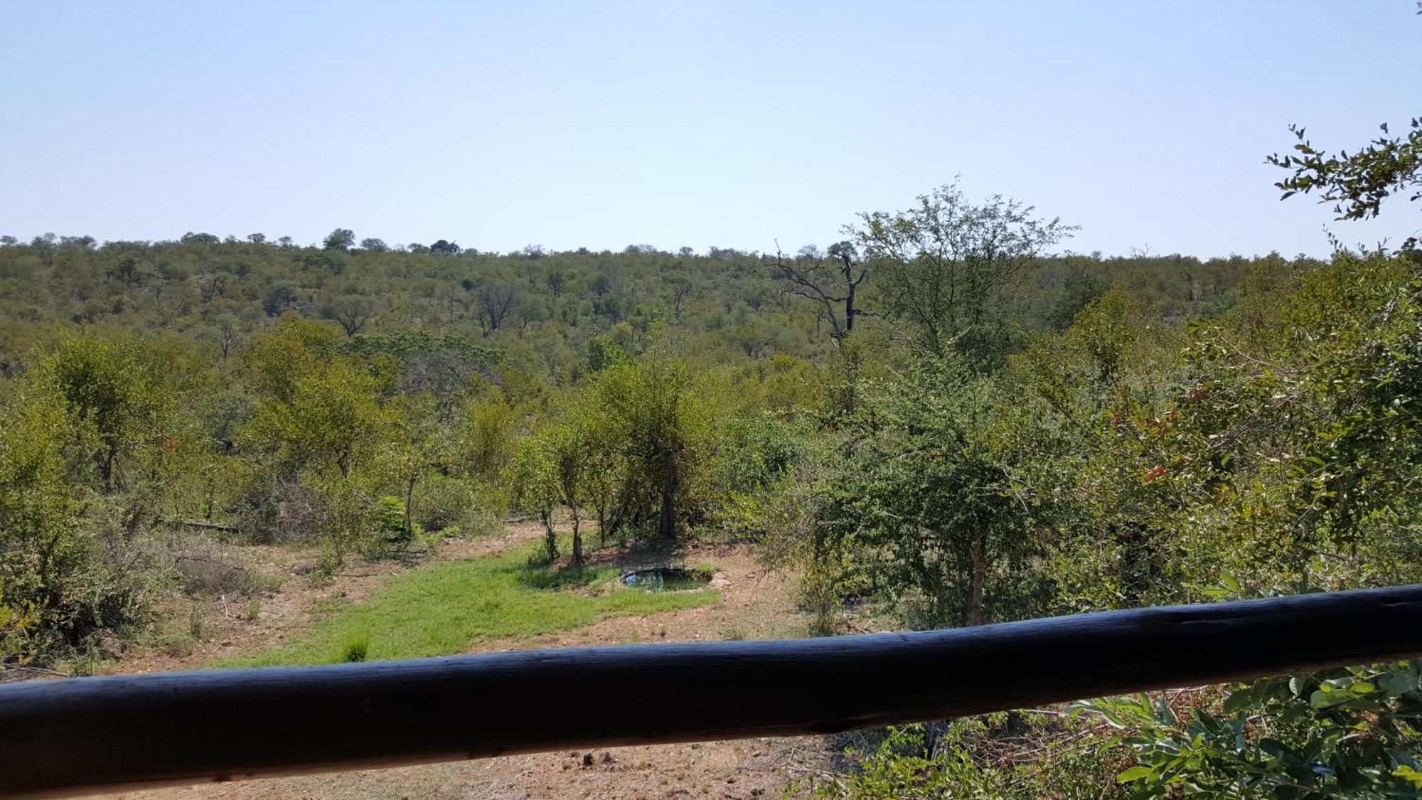 Muweti Bush Lodge Grietjie Game Reserve Номер фото