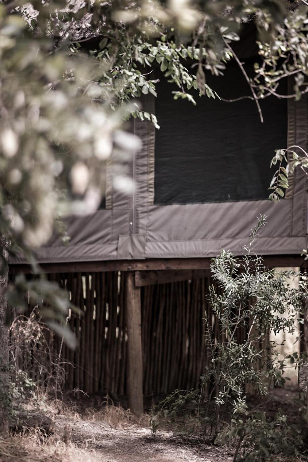 Muweti Bush Lodge Grietjie Game Reserve Экстерьер фото